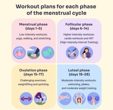 Workout-plans-each-phase-menstrual-cycle-982x1024